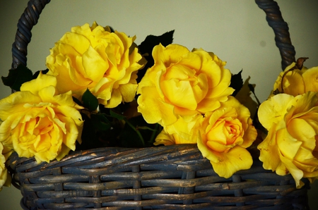 â™¥ SunShine Roses â™¥ - magnificent, fresh, sunshine, roses, basket, bouquet, wonderful, sparkle, centerpiece, bright, yellow, beautiful, arrangement, sunny