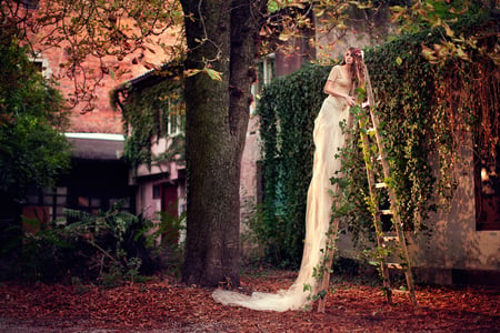 the_world_of_tomorrow - women, nature, tree, house, dress