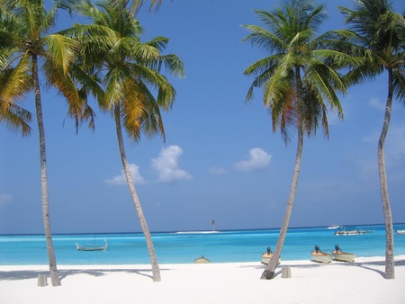 Tropical Beach - beach, sand, ocean, water