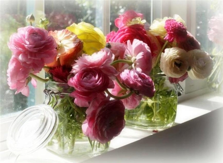 Flowers in window