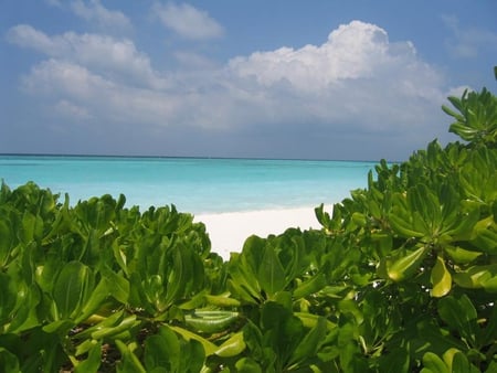 Looking through - beach, sand, sky, ocean