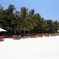 Beach Cafe