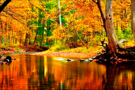 October - brilliance - trees, yellow, colors, light, river, nature, autumn, view, brilliance, golden, october