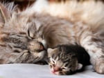 Sleeping with Mom