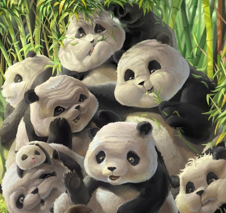 CHUBBY PANDAS - white, bears, chubby, black, cute