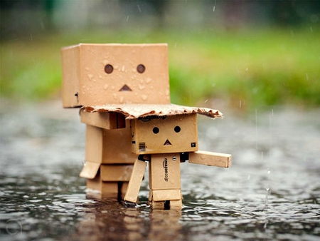 Rainy_Day - picture, danbo, cool, rainy-day