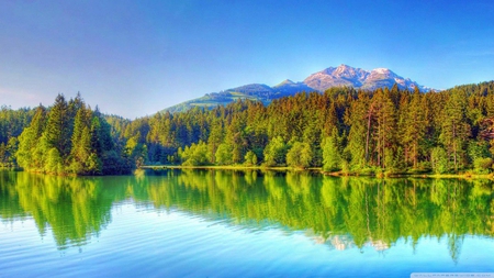 mirror-lake - nature, lake, forest, trees