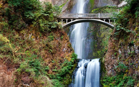 multnomah-falls - nature, forest, waterfall, river