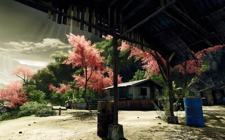 outdoor view - forest, trees, nature, outdoors