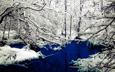 Hidden Water - winter, water, forest, snow