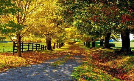 Landscape - nature, autumn, trees, landscape, road, country