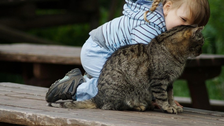 Secrets..... - secrets, grey, cat, girl, blue and white dress, wooden, bench