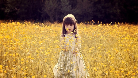 Picking flowers.... - yellow, girl, field, picking, cute, flower