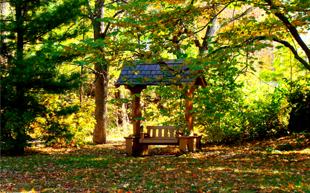 Beautiful Autumn - beauty, autumn, carpet, trees, magic, peaceful, bench, autumn leaves, carpet of leaves, park bench, fall, view, pretty, romance, green, sunny, tree, grass, light, park, wallpaper, lovely, nature, autumn colors, woods, forest, romantic, beautiful, leaves, splendor, new