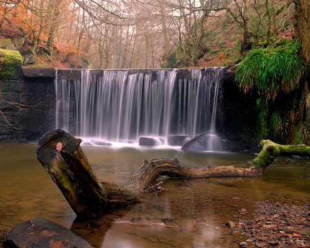 FOREST WATERFAAL - nature, forest, trees, waterfall