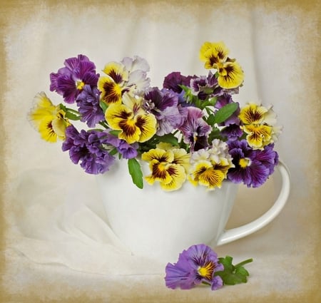 still life - beauty, nice, photography, delicate, bouquet, still life, white, pretty, yellow, cool, gently, harmony, glass, soft, lovely, violet, beautiful, violets, flowers, colors, photo, elegantly, flower