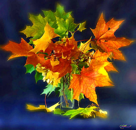 Happy autumn D.N. friends - autumn, black, gold, yellow, red, arrangement, green, leaves, orange, colors