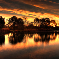 Reflection of gold