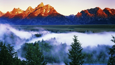 Mountain Mist - river, forest, mountains, nature