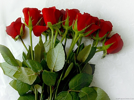 Bunch Red Roses