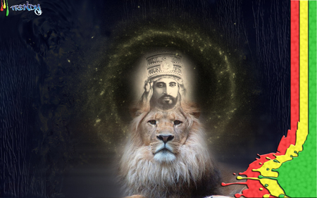 rasta wallpaper - collage king, lion, rasta, art, wallpaper