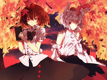 inubashiri momiji &  shameimaru aya - red eyes, touhou, hoy, cute, hat, leaves