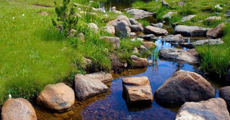 Rocky Stream - rock, stream, grass, water