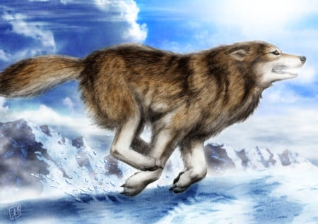 river rock clan's artic territory - rock, territory, wolf, wolves, pack, river