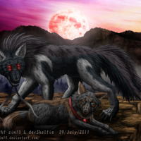 Demin wolf and the captive one