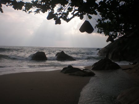 Dawn of the Beach - beach, dawn, tree, sea, rocks