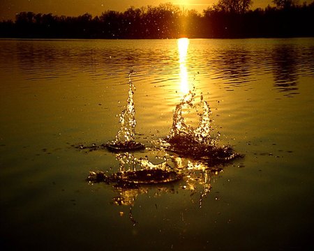 Water Drops - drops, sunset, water