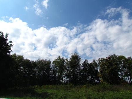 Beautiful sky in Virginia - trees, blue, bright, sky