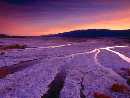 Purple sunset - lake, landscape, tree, sunset, nature, mountain