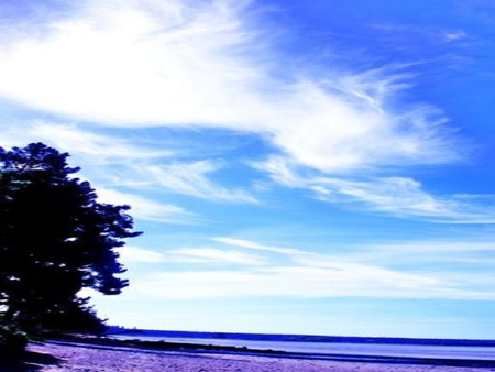 blue sky - water, blue, tree, sky