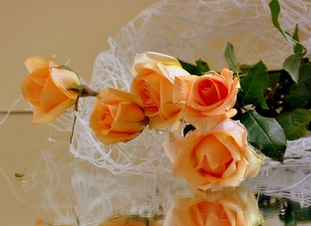 Roses - flowers, roses, orange roses, beautiful