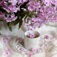 still life