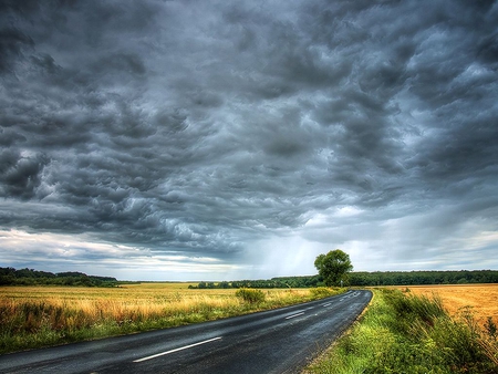 Grey Clouds - picture, cool, grey, clouds