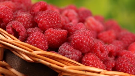 Fresh Raspberries for my friends - fresh, red, basket, raspberries