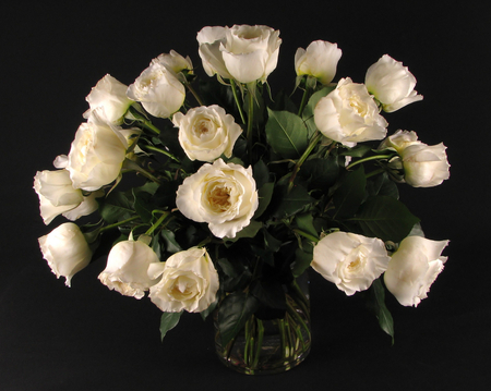 roses - white, bouquet, still life, roses