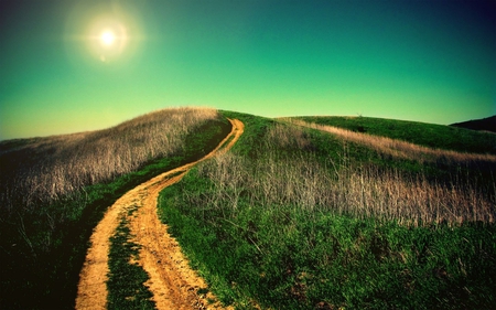 Mounts Path - branches, sky, hills, sun, mountains, path, nature, view, green, grass