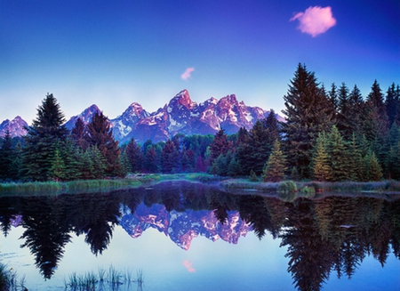 Purple Sunset - purple, lake, trees, blue sky, sunset