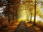 Autumn Path