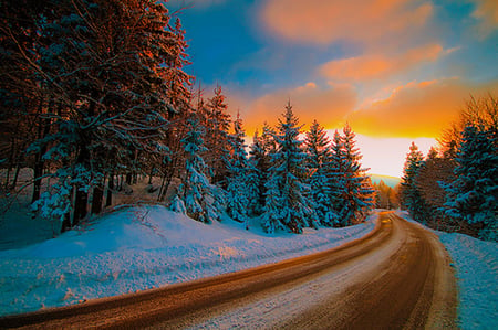 Winter Sunset - trees, snow, winter, sunset, road