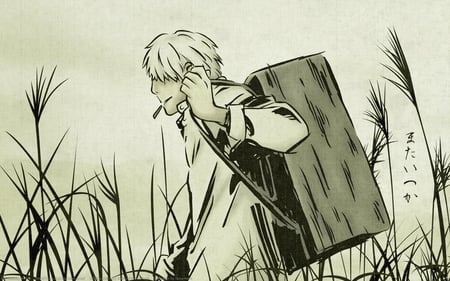 mushishi mata - wealth, box, man, mushishi, original, white hair