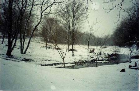 Snow On A Creek - winter, wilderness, snow, creek