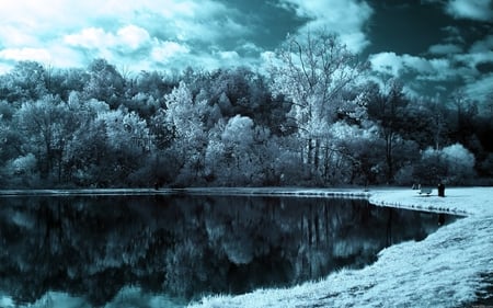 Forest Lake - clouds, trees, beautiful, landscape, beauty, forest, reflection, leaves, nature, view, lake, sky