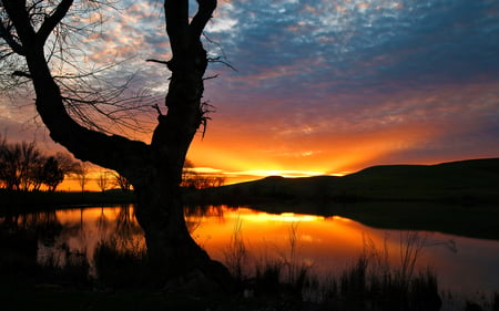 Beautiful Sunset - amazing, splendor, landscape, grass, reflection, leaves, sunrays, view, lake, sky, clouds, sunlight, trees, water, beautiful, beauty, colors, lovely, tree, colorful, nature, sunset, rays, peaceful