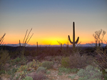 Desert sunrise