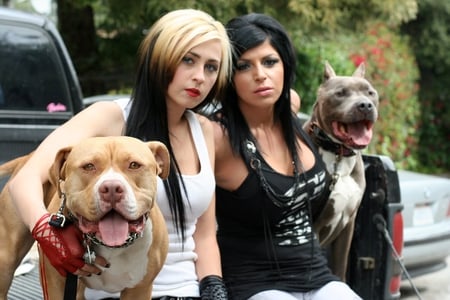 Pitbulls and Parolees sisters - parolees, pitbulls, sisters