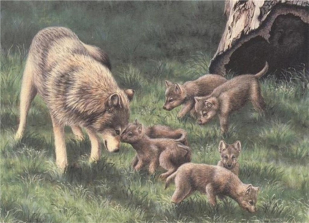 a timber wolf family - wolf, family, wolves, timber